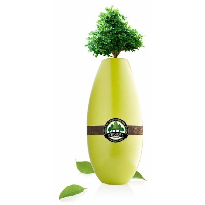 Biotree Urn for Animals