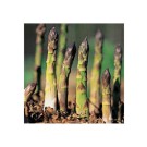 Livingseeds Unusual